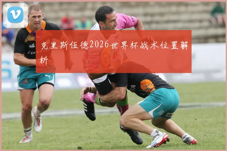 克里斯伍德2026世界杯战术位置解析