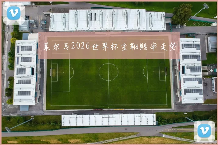 莱尔马2026世界杯金靴赔率走势