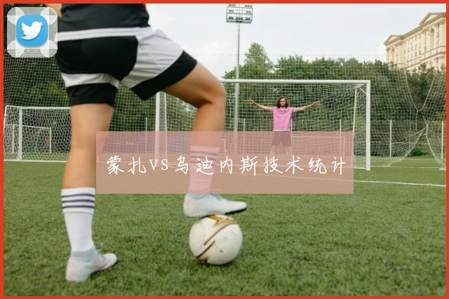 蒙扎vs乌迪内斯技术统计