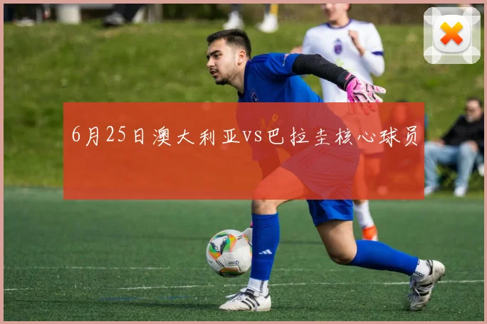 6月25日澳大利亚vs巴拉圭核心球员