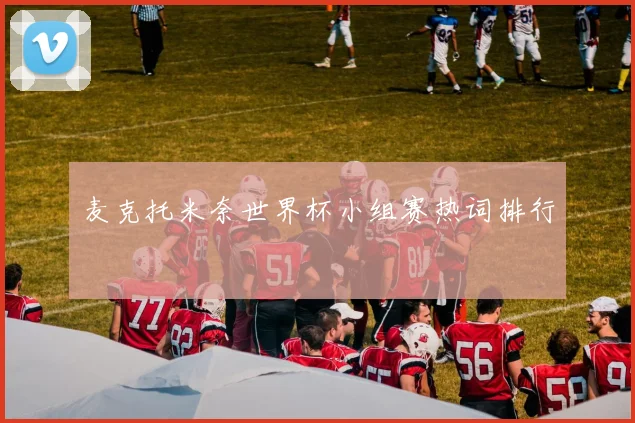 麦克托米奈世界杯小组赛热词排行