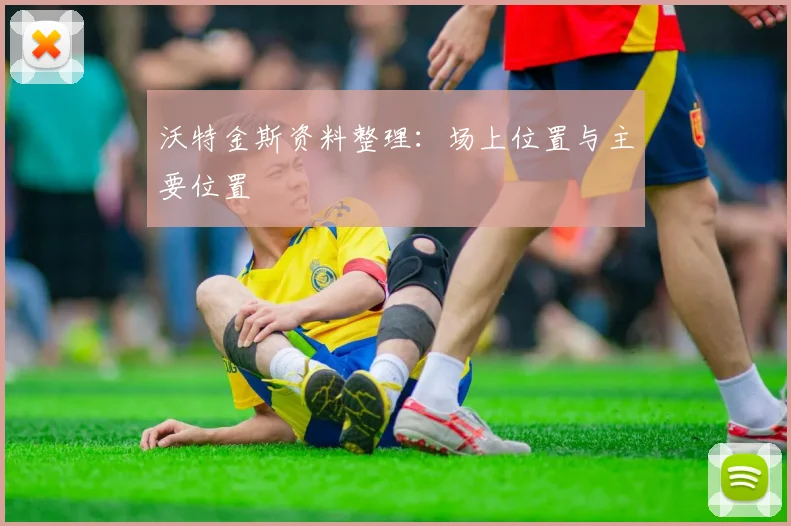 沃特金斯资料整理:场上位置与主要位置