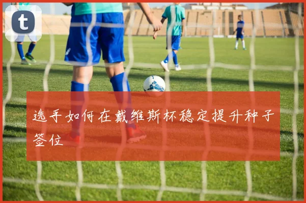 选手如何在戴维斯杯稳定提升种子签位