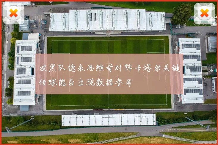 波黑队德米洛维奇对阵卡塔尔关键传球能否出现数据参考
