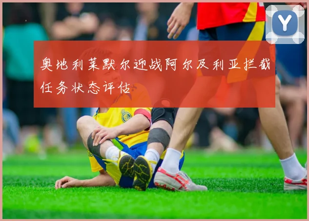 奥地利莱默尔迎战阿尔及利亚拦截任务状态评估